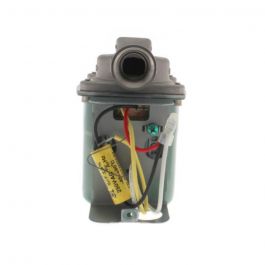Taco 003-ST4 1/40HP SS Circulator Pump 3/4" NPT 115V