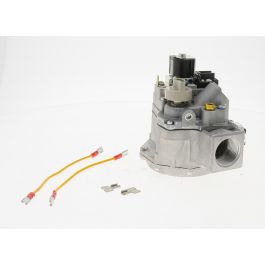 Raypak 004881F 24V 1 Inch ,4 Inch Wc 1 Inch Gas Valve