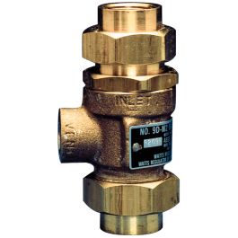 Watts 0061888 9DM2 3/4" Dual Check Valve Backflow Preventor