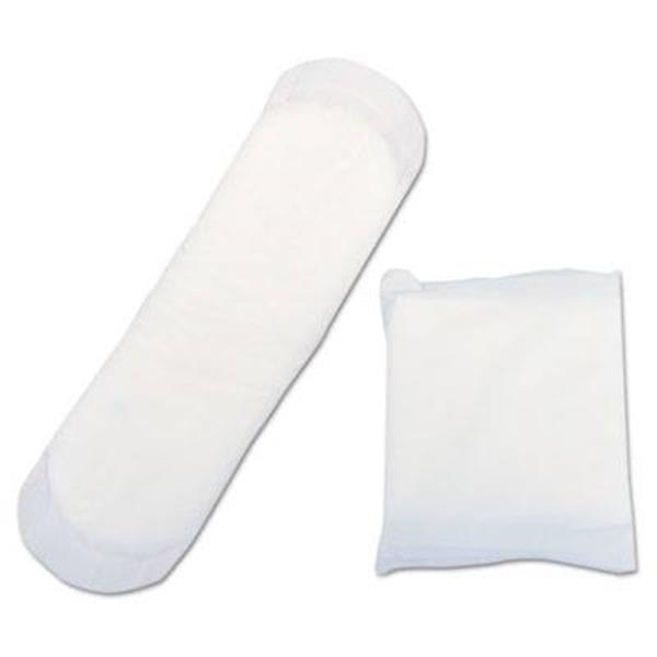 Hospeco Maxithins Sanitary Pads (250-Carton)