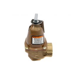 Xylem-Bell & Gossett 110132 Safety Relief Valve 1" 50-PSI 1710000 BTUH
