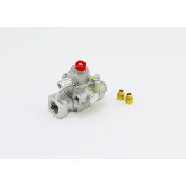 Robertshaw 1720-007 Gas Safety Valve Assembly W/Magnet 1/2" NPT