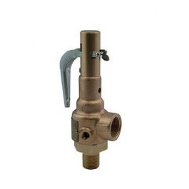 Conbraco Industries 19-KFEA-100 Steam Relief Valve 1" MNPT X 1.25" FNPT 100 PSI 1798 PPH