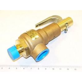 Conbraco Industries 19-KGFA-125 Bronze Pressure Safety Relief Valve 1.25" X 1.5" Steam 125 PSI 3595 PPH