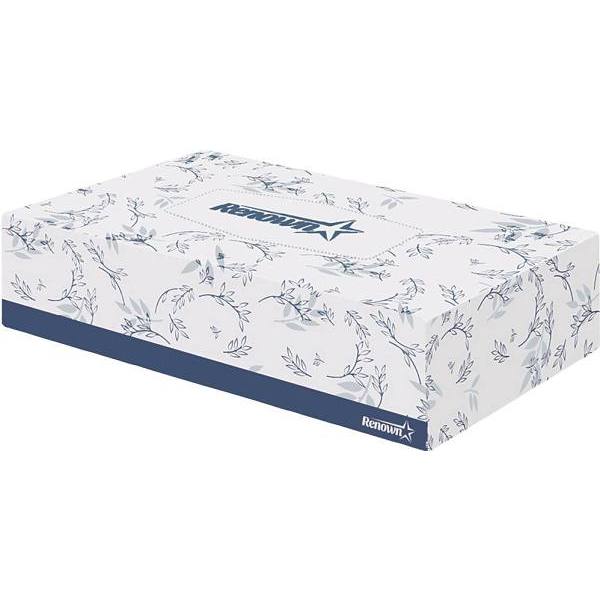 Renown 2-Ply Facial Tissue, Flat Box, 100 Sheets/Box, 30 Boxes/Case