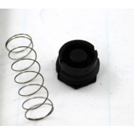 Rheem-Ruud 607016 LP To Natural Gas Valve Spring Kit