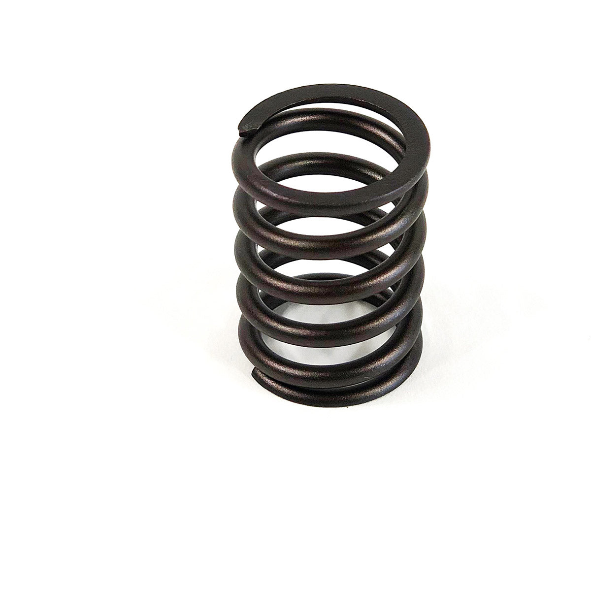 Maxiforce Valve Spring, 704 for Perkins 3174P408