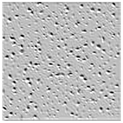Radar Ceiling Tile, 2 x 2-Ft.