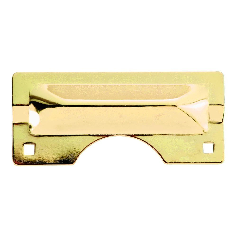 Brass Heavy-Duty Latch Guard