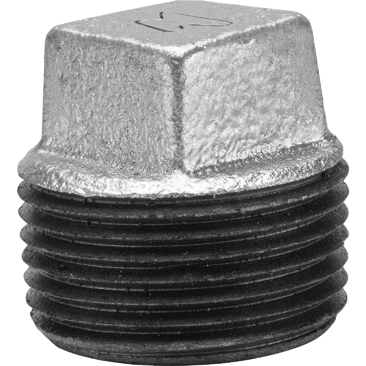 Galvanized Pipe Plug, 2 In.