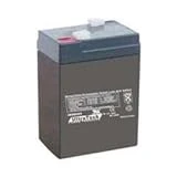 6 Volt 4 Amp Hour Sealed Lead Acid Battery For Exit Light Security Systems