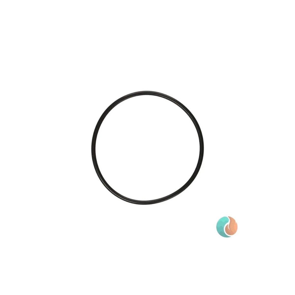 Aladdin O-Ring, for Pool Equipment, Replacement | O-231