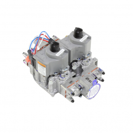 Rheem-Ruud AP14326N 1" Dual Parallel Natural Gas Valve 24V