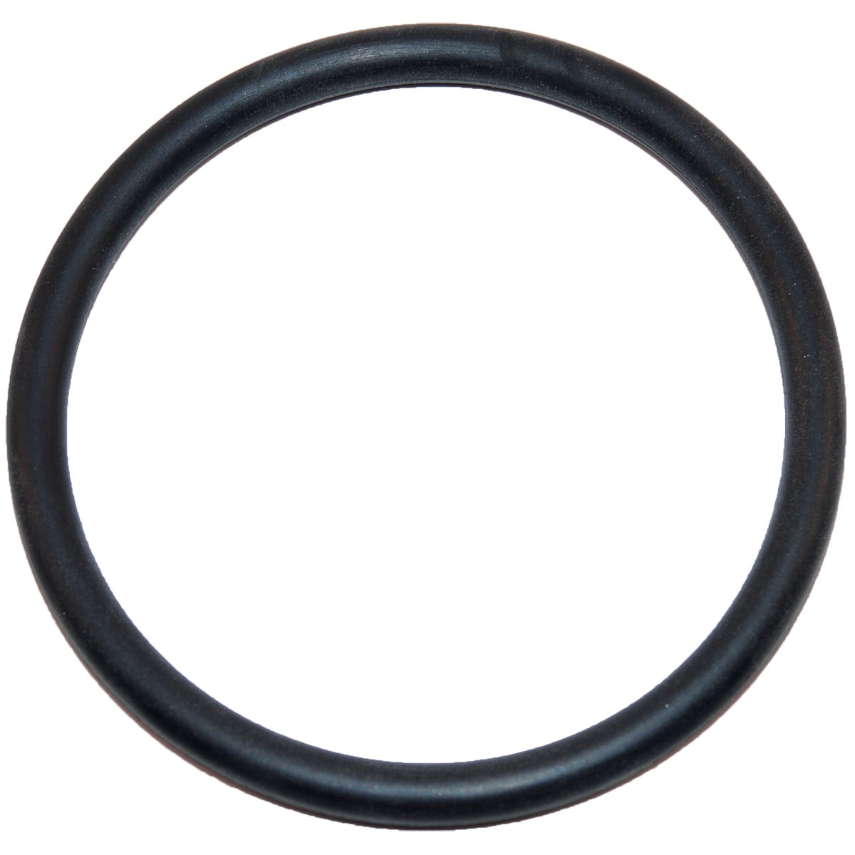 Hayward Filter O-Ring, Large | SX220Z2
