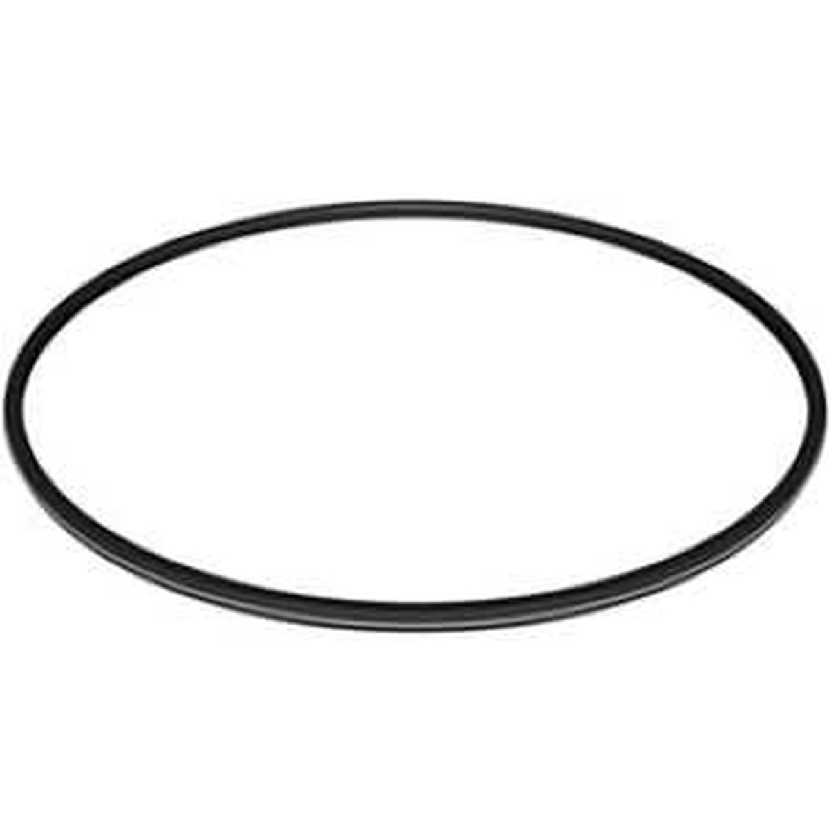 Hayward Metal-Reinforced Filter Seal | DEX2422Z2