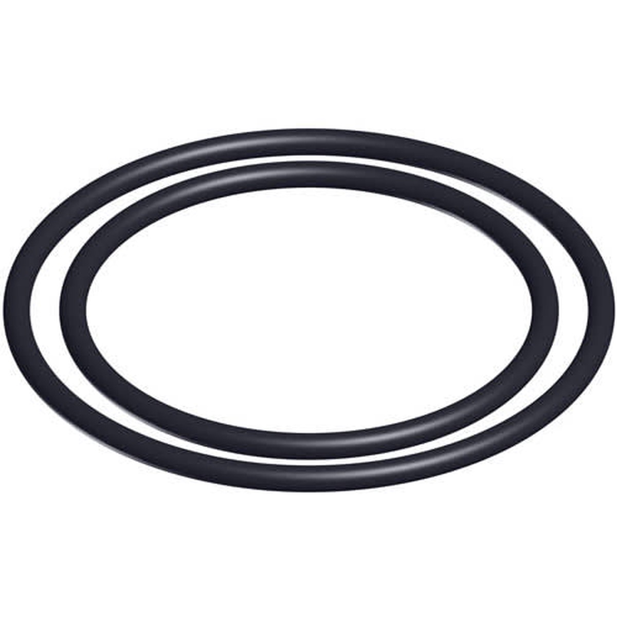 Hayward O-Ring Kit, Set of 2 | DEX2420Z8A