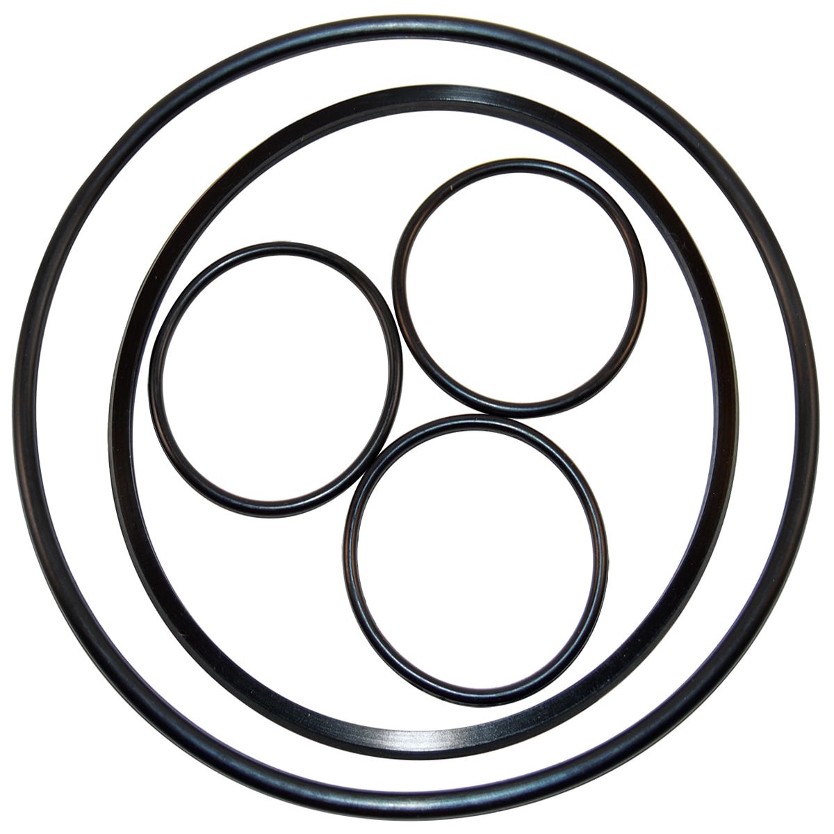 Hayward O-Ring Kit | VLX4004A