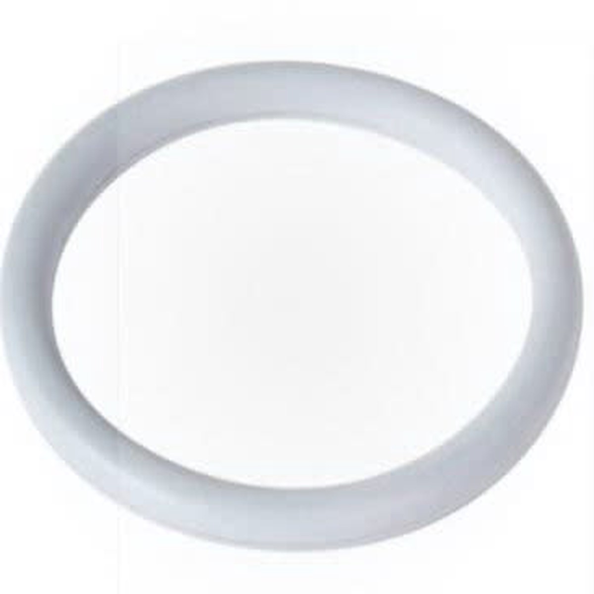 Hayward O-Ring | SPX0410Z1
