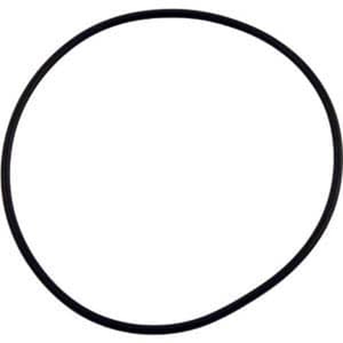 Hayward O-Ring | SPX1082Z5B