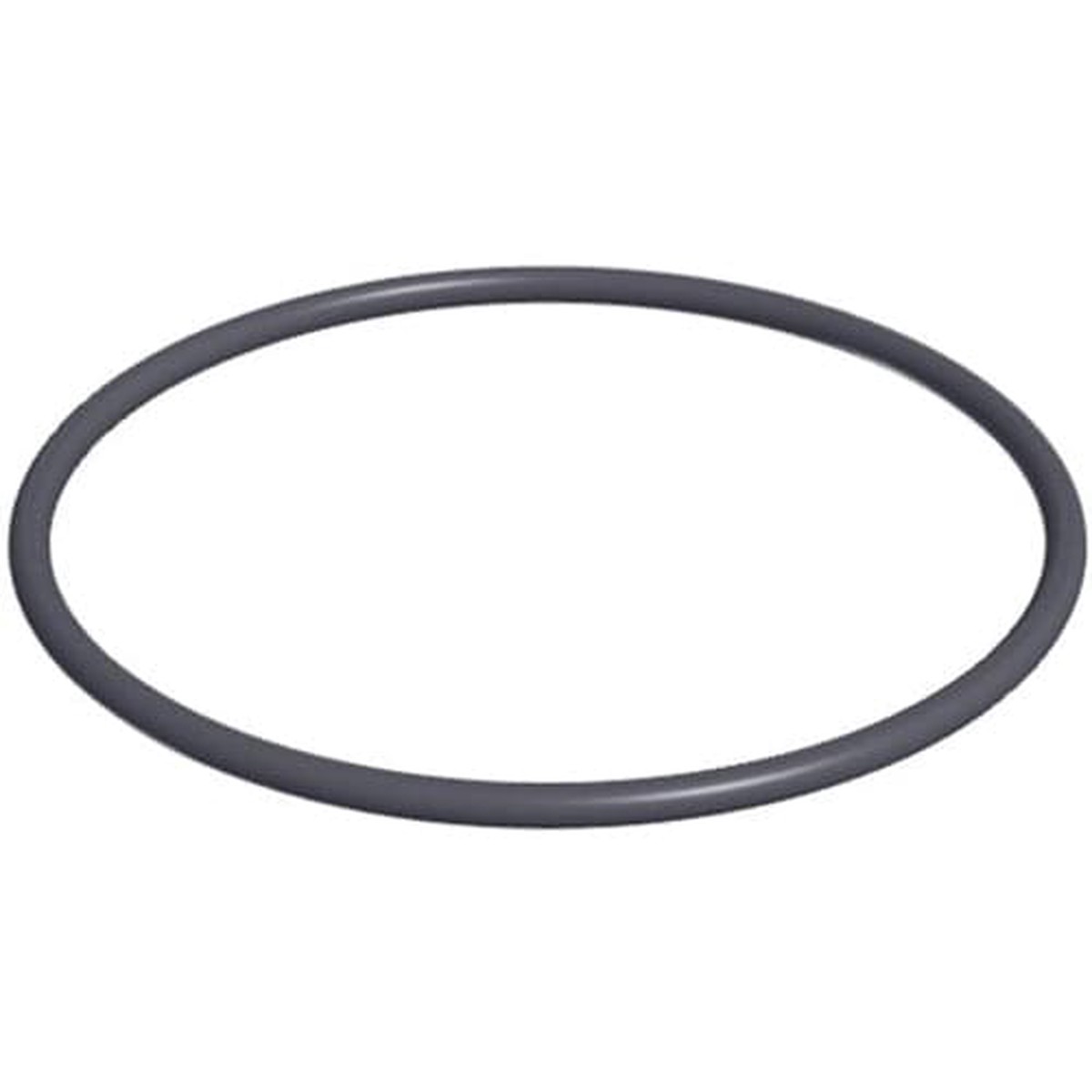 Hayward O-Ring | SPX1500P