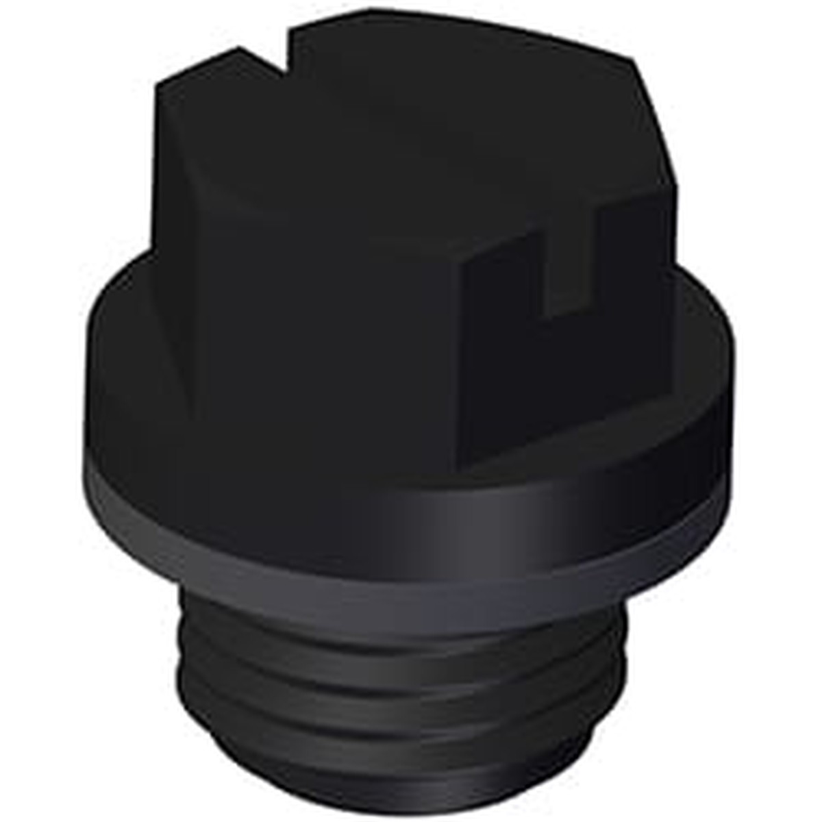 Hayward Pipe Plug With Gasket | SPX1700FGV