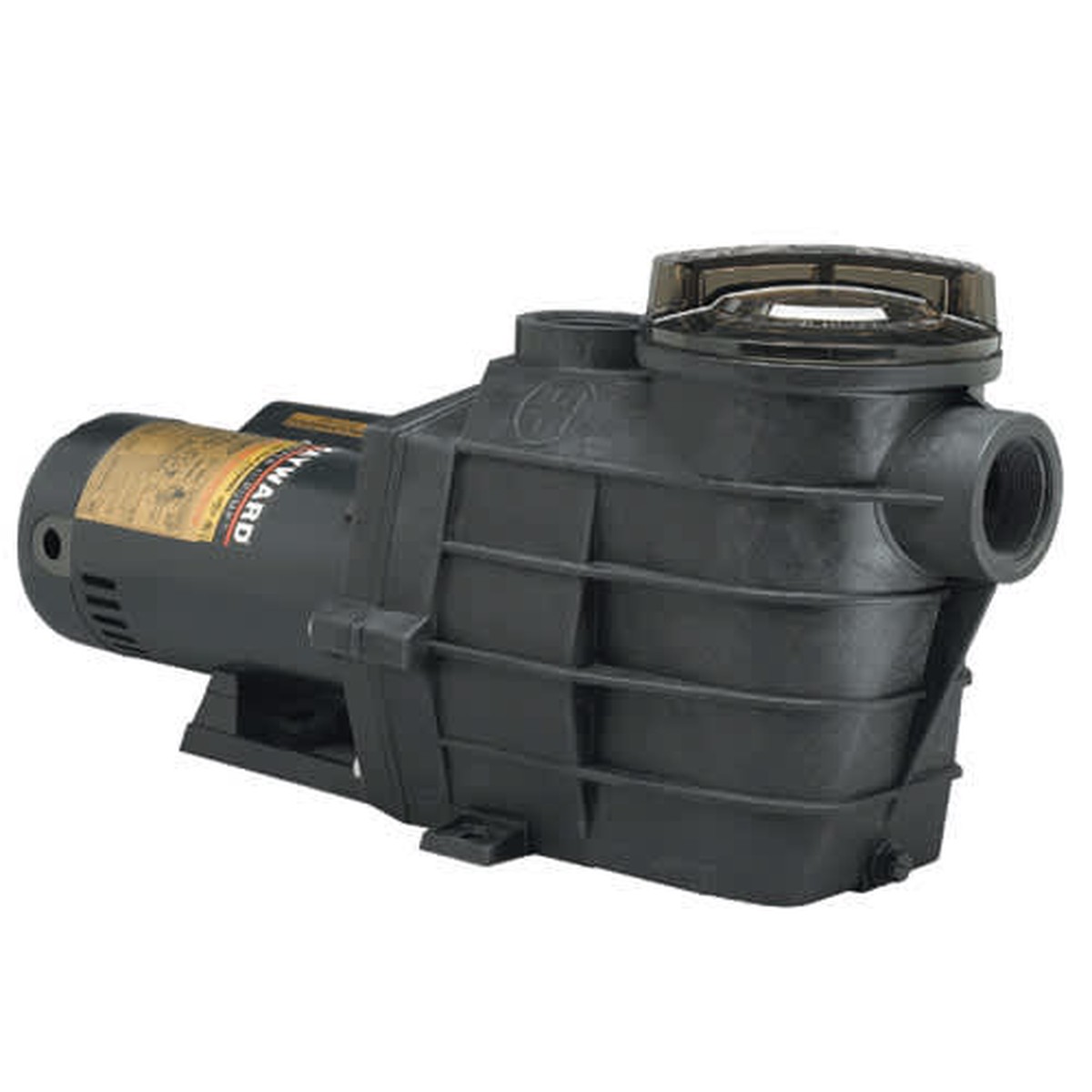 Hayward Pump Housing With Strainer | SPX3120AA