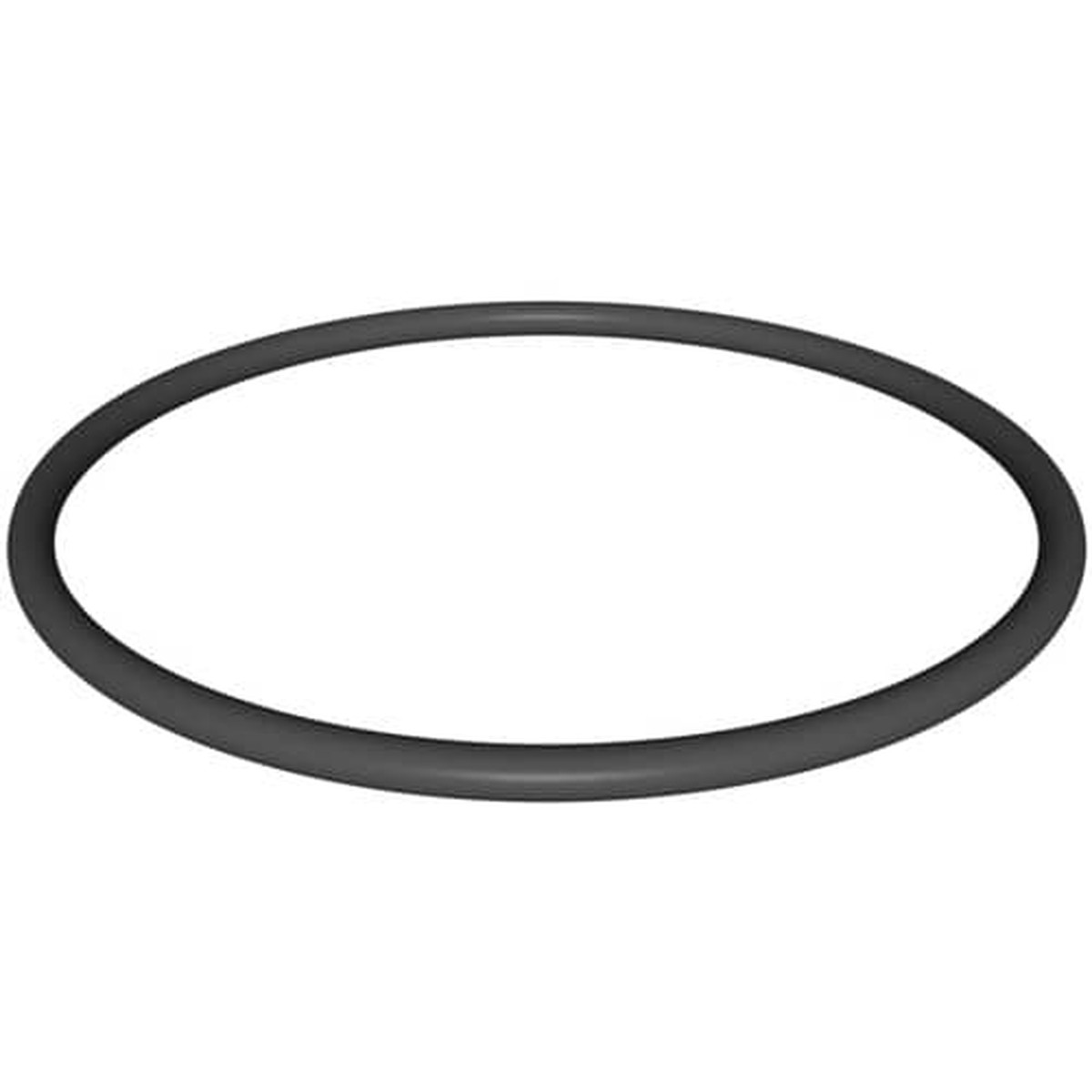 Hayward Radius Connector O-Ring | DEX360M