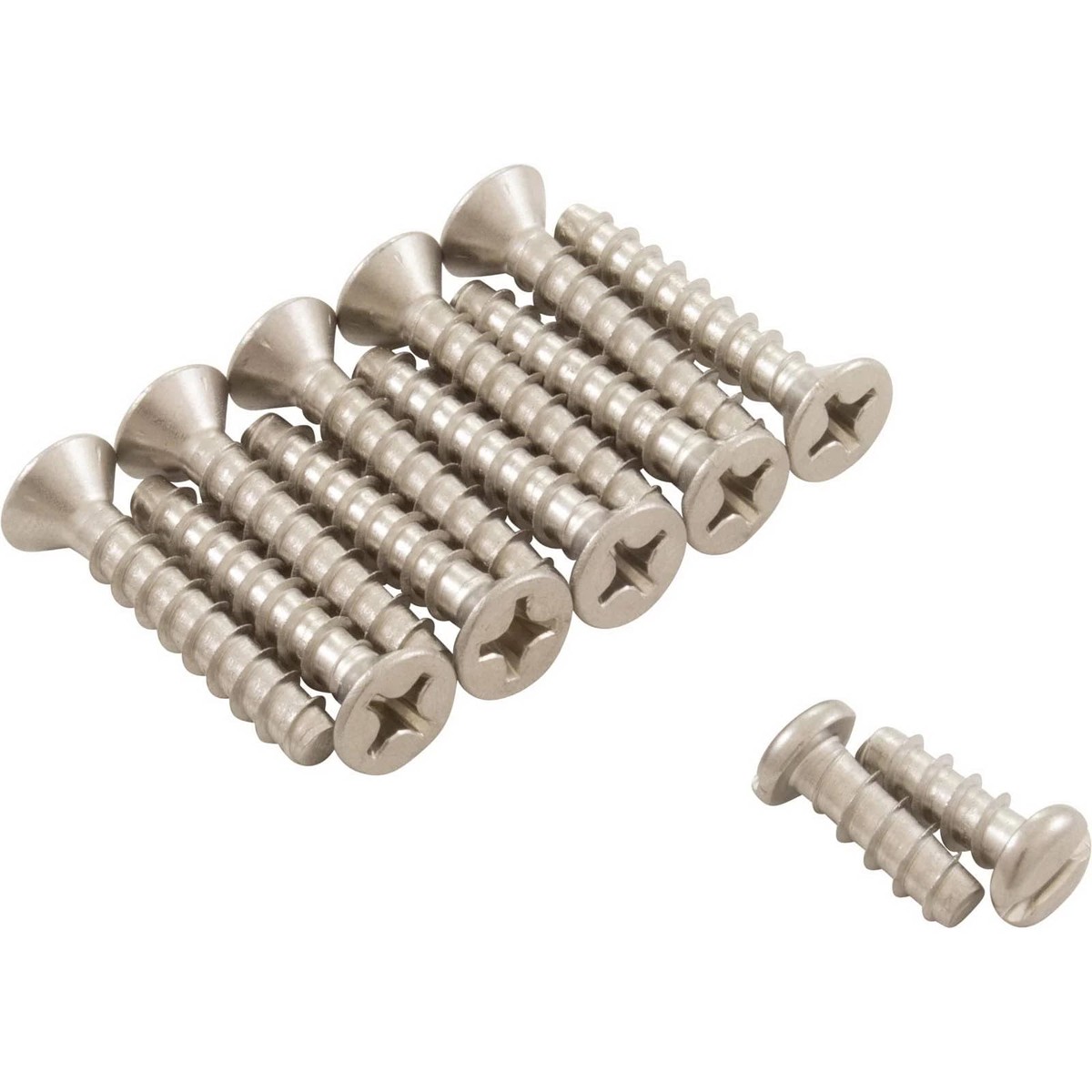 Hayward Screw Set | SPX0507Z1A