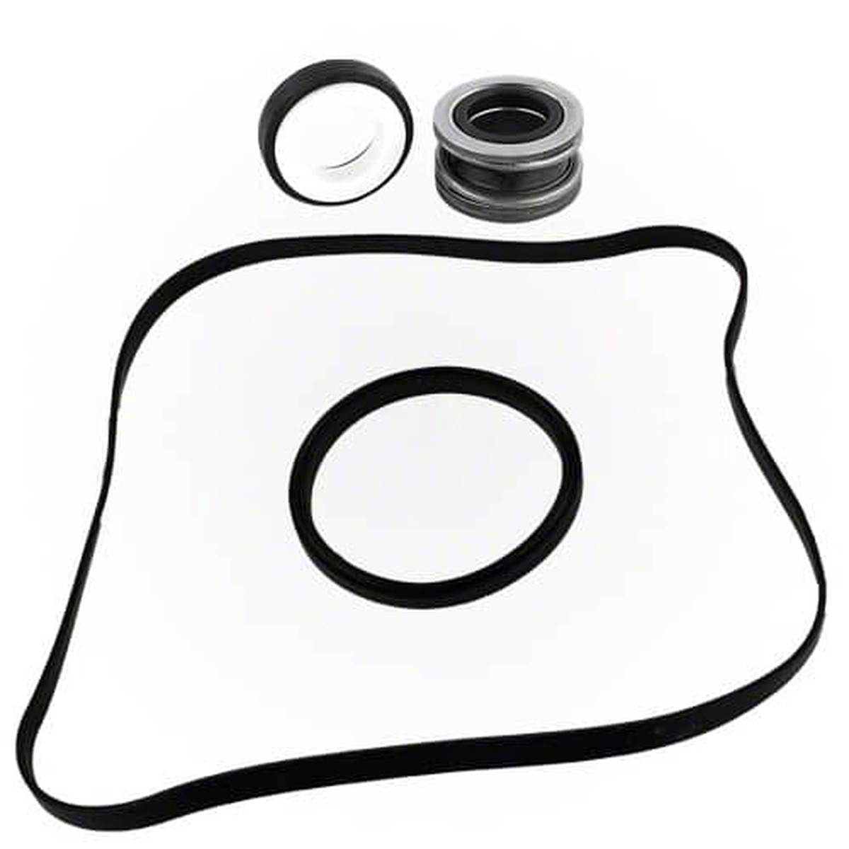 Hayward Seal Assembly Kit | SPX1600TRA