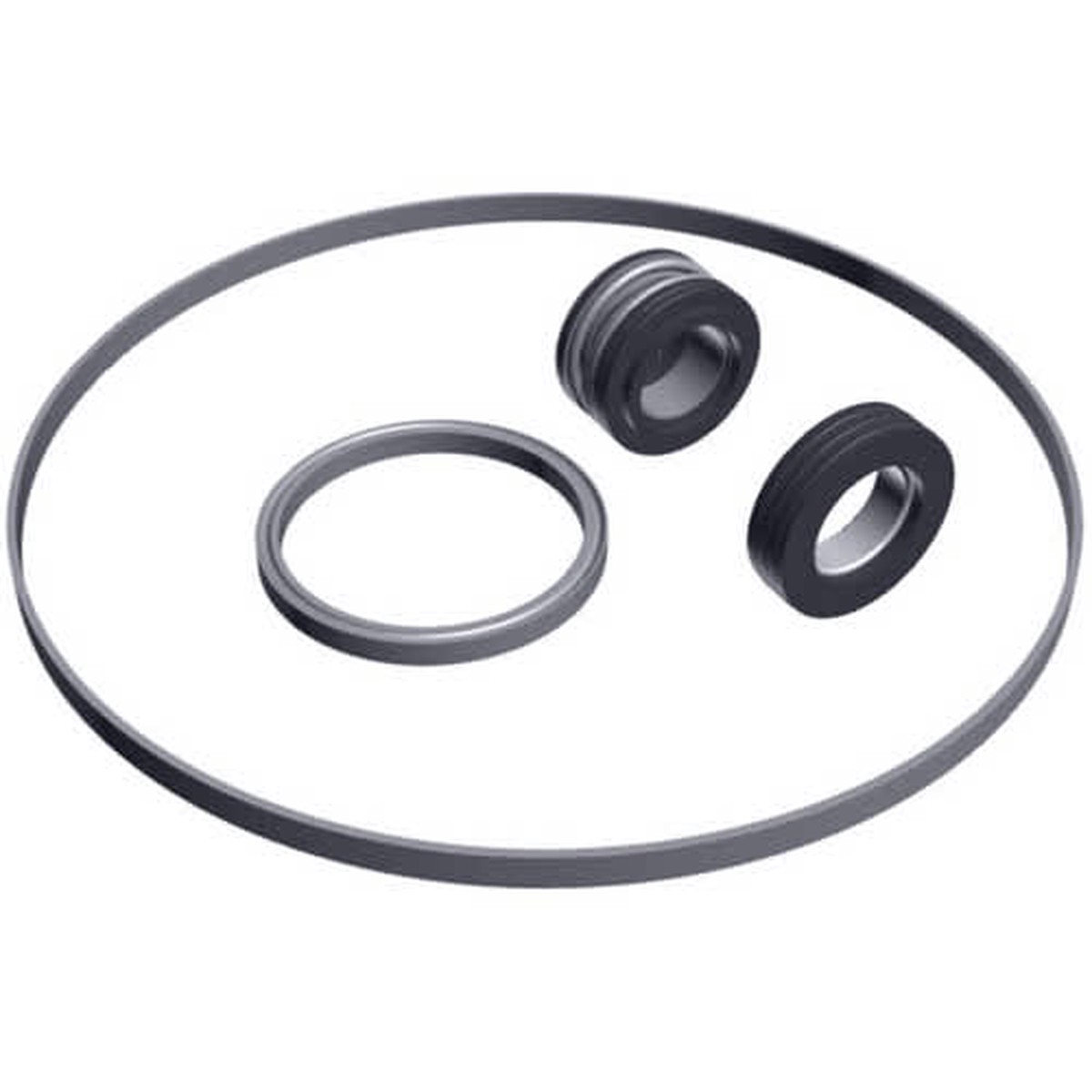 Hayward Seal Assembly Kit | SPX3000TRA