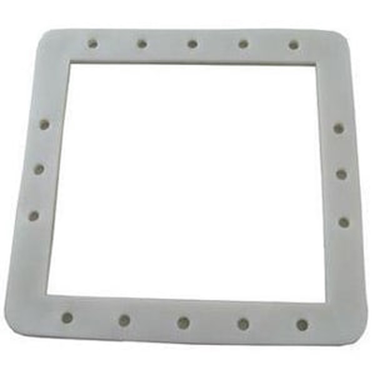 Hayward Standard Butterfly Gasket | SPX1091G
