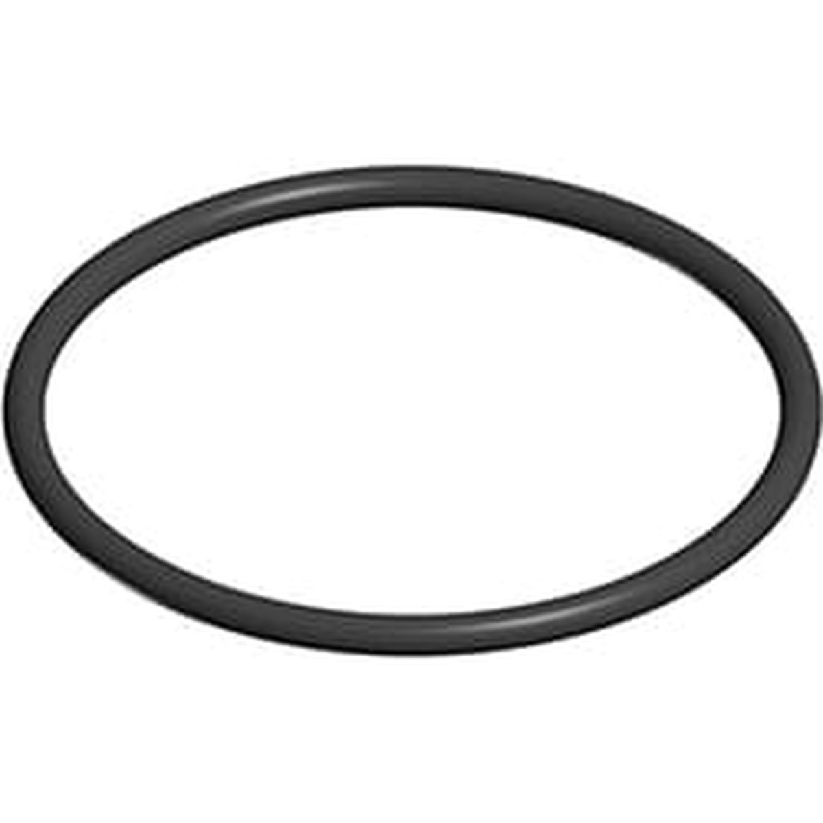Hayward Strainer Cover O-Ring | SPX2300Z4