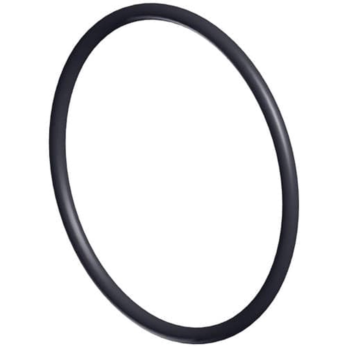 Hayward Strainer O-Ring | SPX1500W