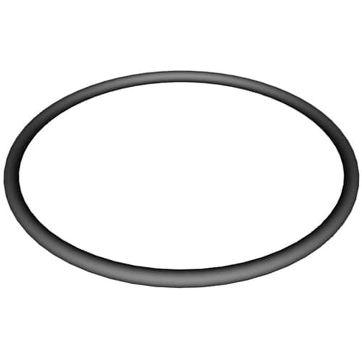 Hayward Super II Strainer Cover O-Ring | SPX3000S