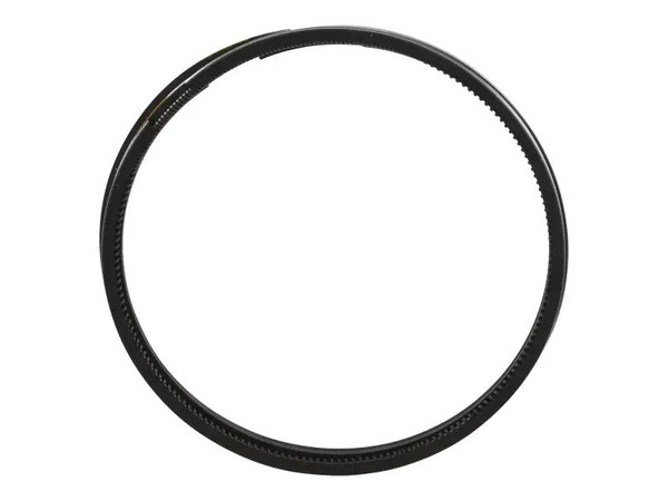 JLG Part # DTZ04132334 | DTZ-SET OF PIST. RINGS, EA