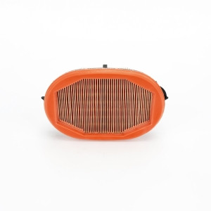Genie Lift Part # 1256220GT - FILTER, AIR, SECONDARY, EA