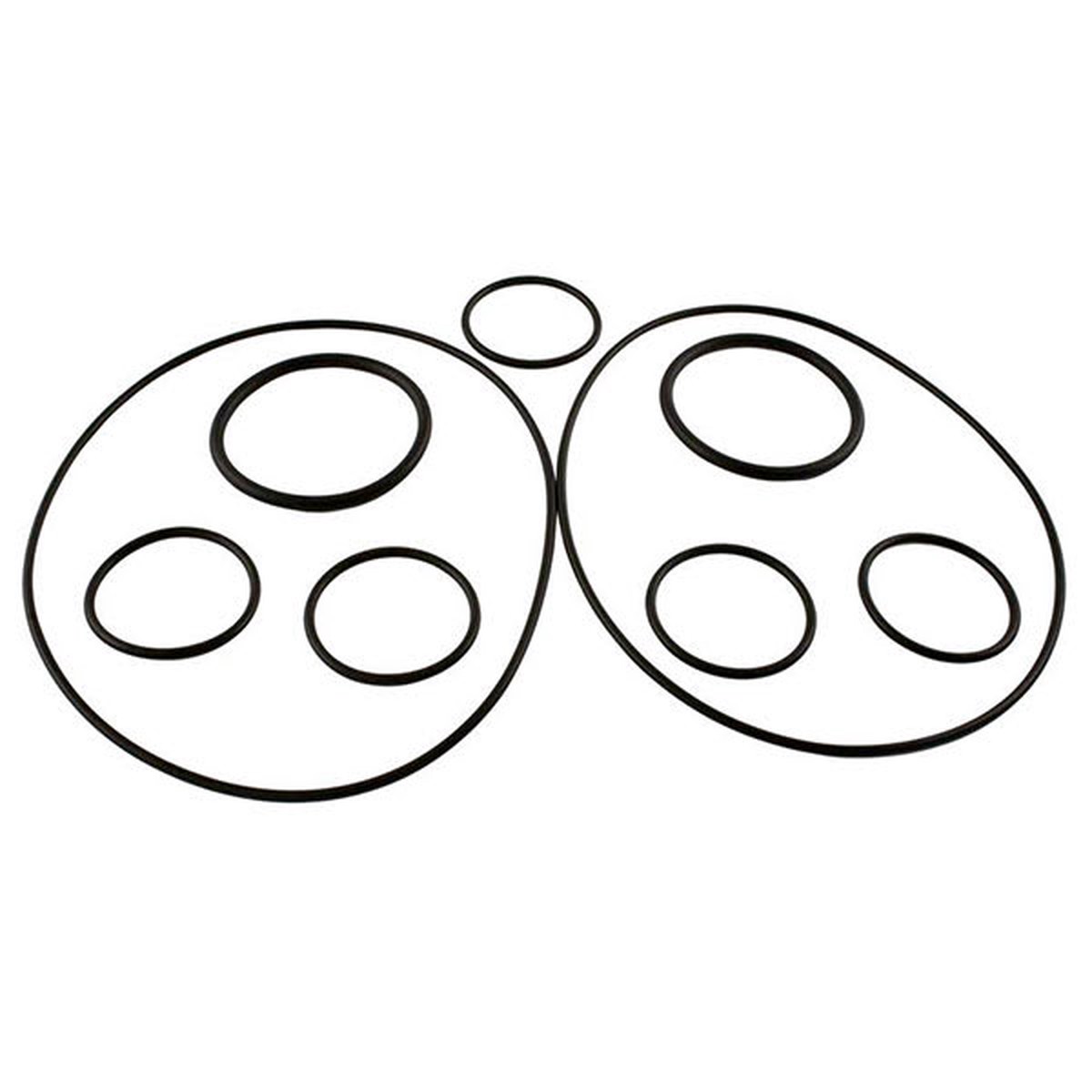 Jandy O-Ring Replacement Kit | 37024