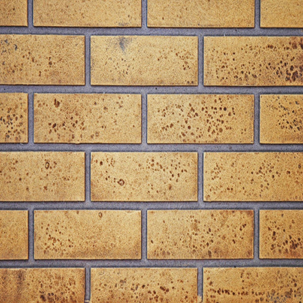 Napoleon Decorative Brick Panels, Sandstone | GD873KT