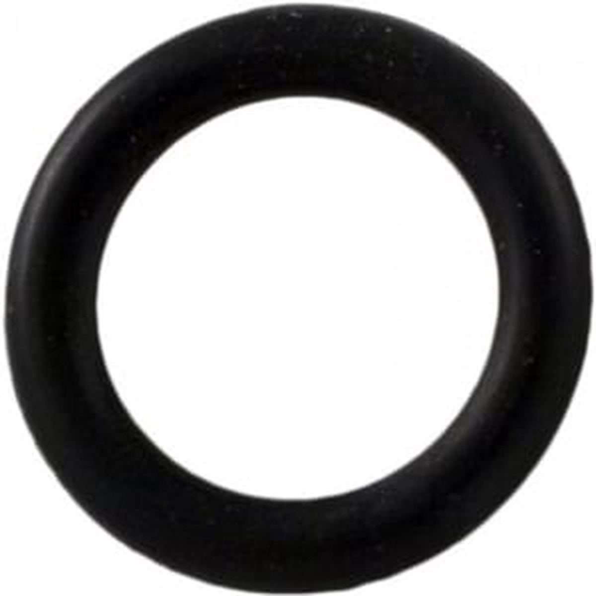 Pentair Drain Plug O-Ring, for Pump | LA375