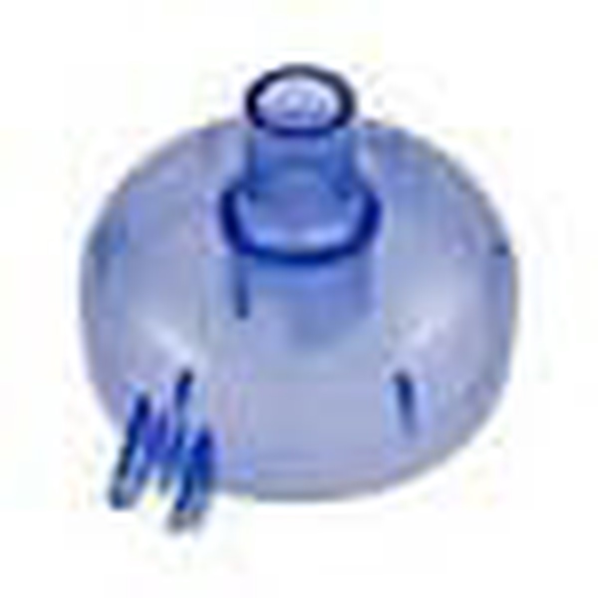 Pentair Lateral Trap Lid, 1-1/2" Fitting, #186 | R18650