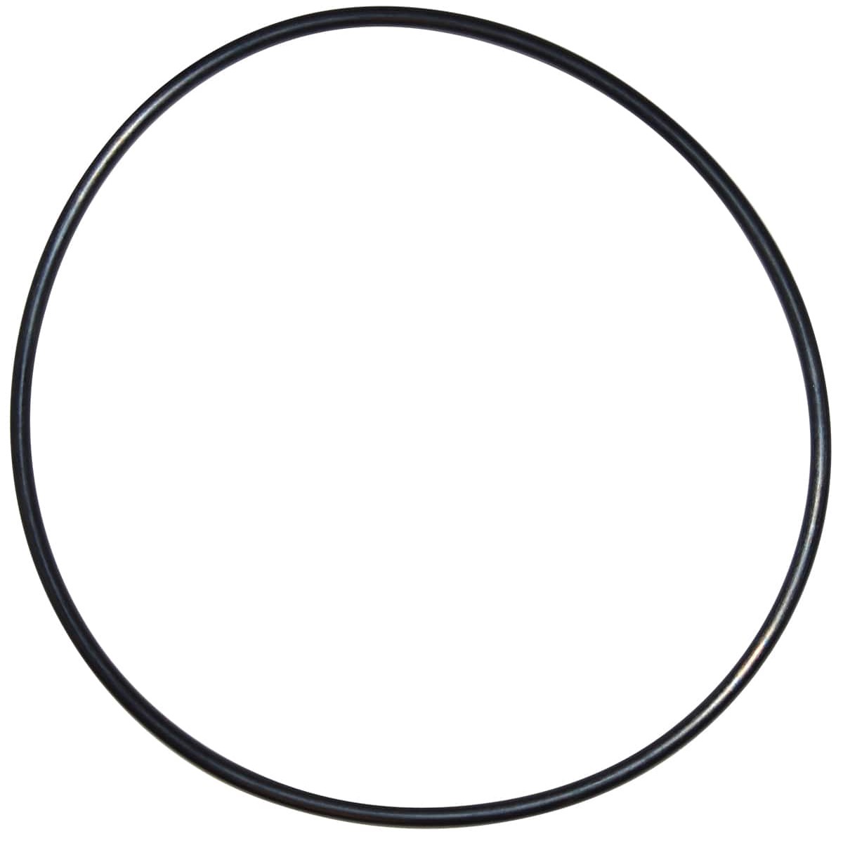 Pentair O-Ring | U9-228AZ