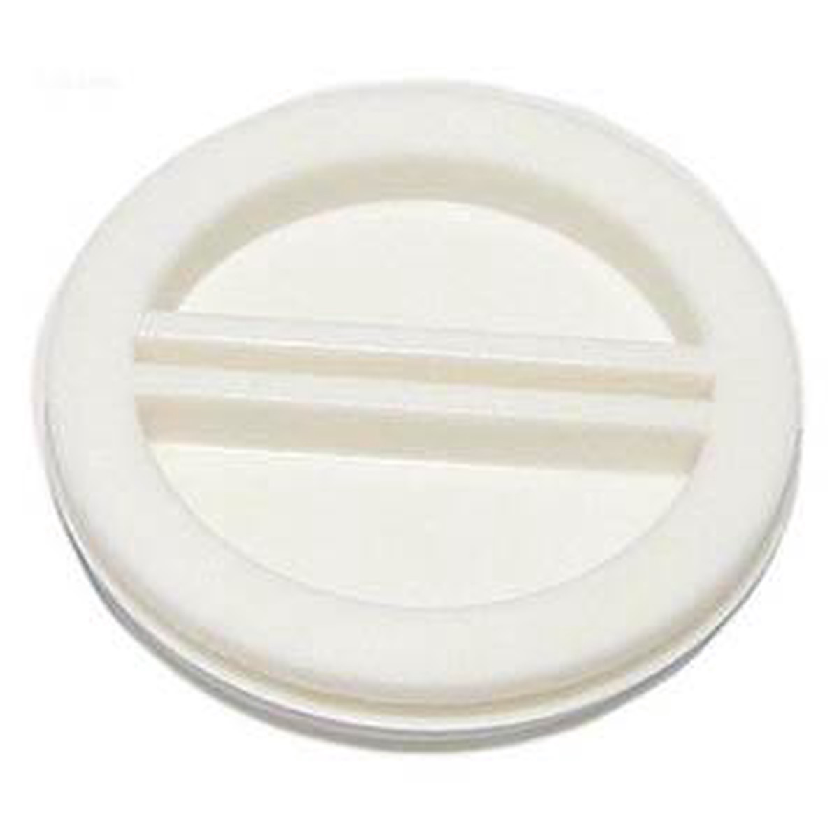 Pentair Polyurethane Winterizing Threaded Plug, 2" | R22011