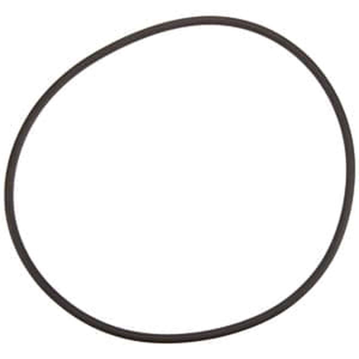 Pentair Sta-Rite Tank O-Ring | WC9-3