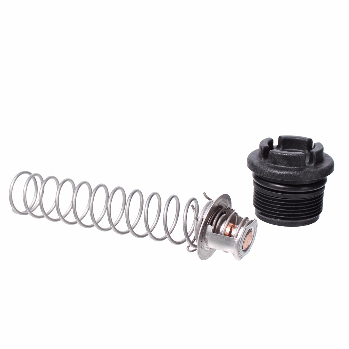Pentair Thermal Regulator Package | 77707-0010