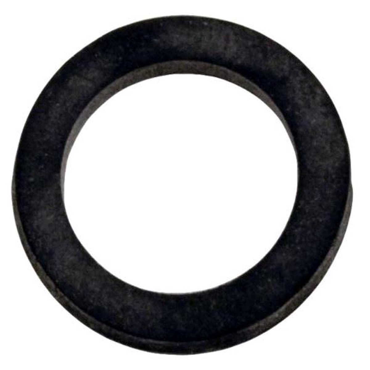 Pentair WFE Drain Gasket, Flat Washer | 74629