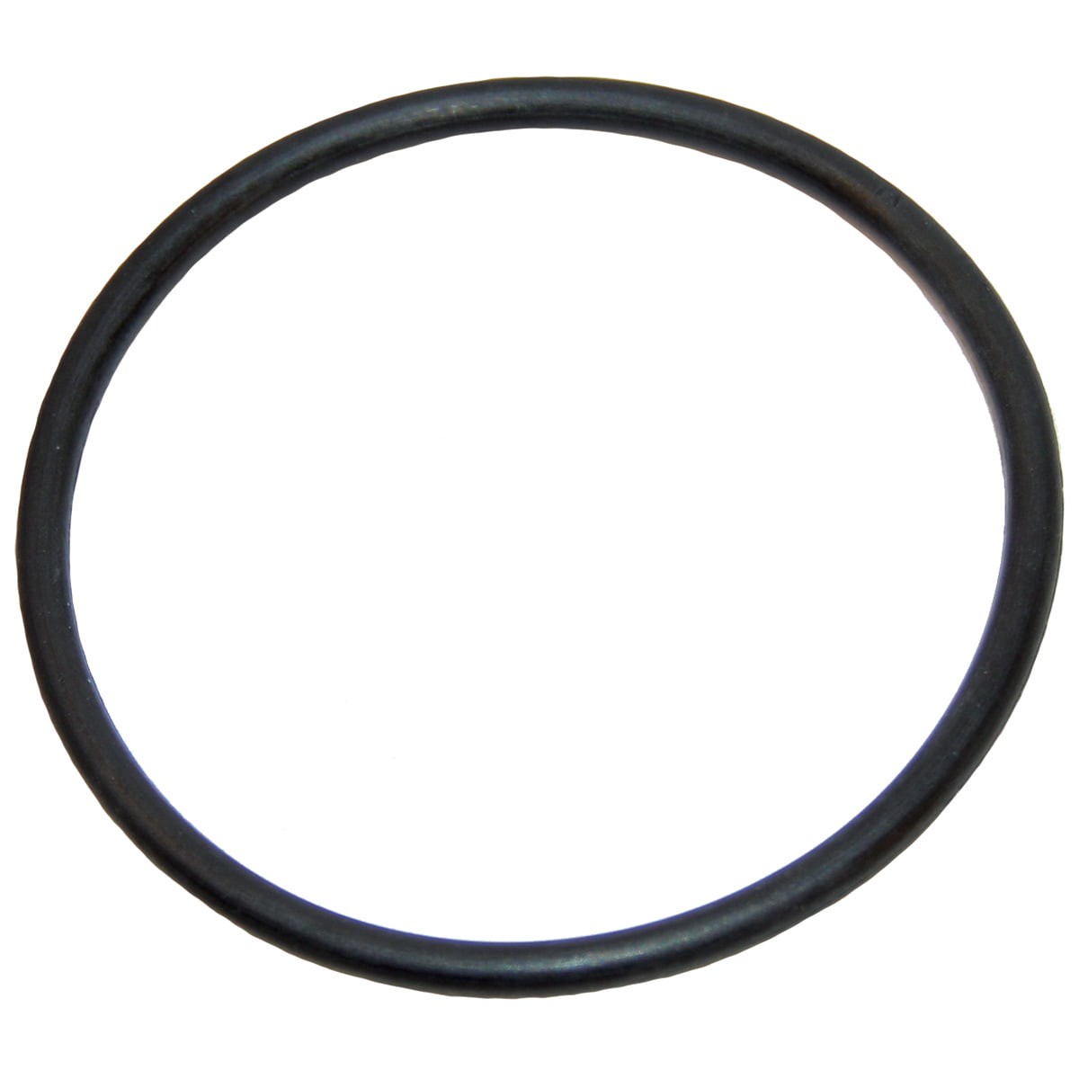 Polaris Feed Pipe O-Ring Assembly, Replacement | 9-100-5132