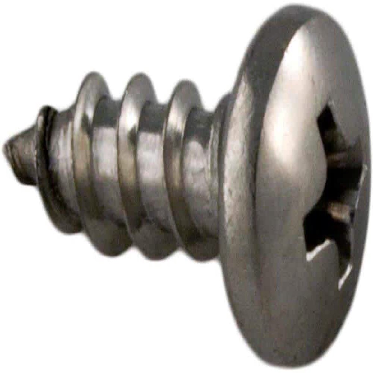 Polaris Self-Tap Pan Head Screw, Stainless Steel, Replacement | A30