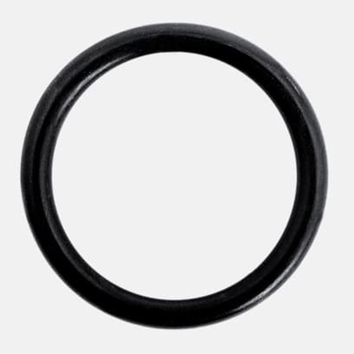 Praher EPDM O-Ring, 2", for PVC Union | E331