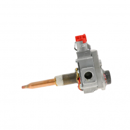 Rheem-Ruud SP14269E Lquid Propane Gas Control 9" Water Column Gas Valve 1/2"